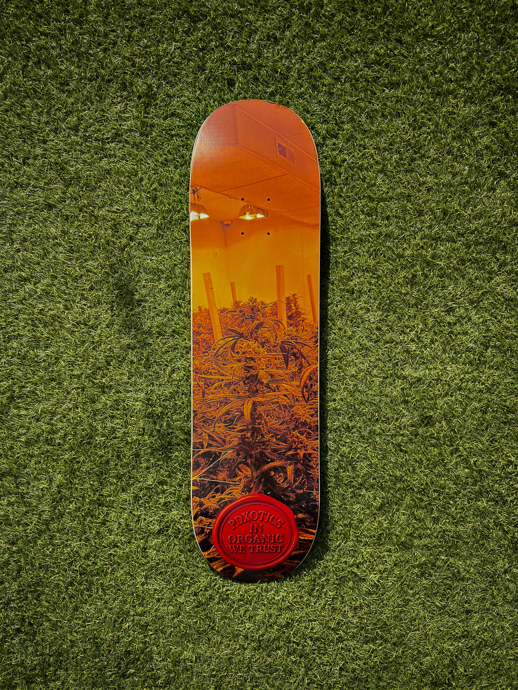 Skateboard + Griptape