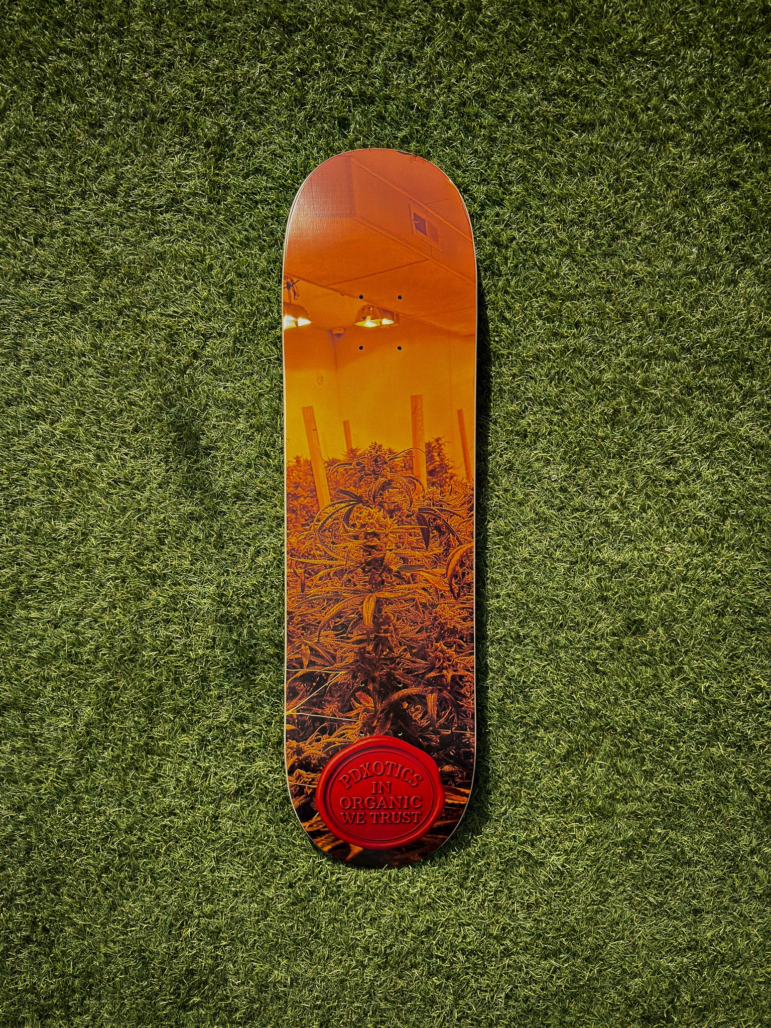 Skateboard + Griptape